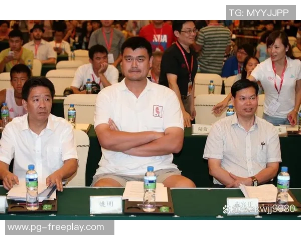 姚明的石头背后隐藏的故事与篮球精神的传承与启示